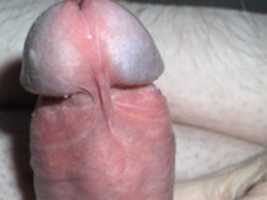 Free download Snotty Dick free photo or picture to be edited with GIMP online image editor