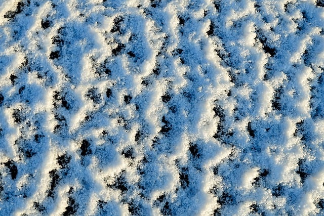 Scarica gratuitamente un'immagine gratuita di texture campione di sfondo neve da modificare con l'editor di immagini online gratuito GIMP