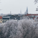 Snow covered garden  screen for extension Chrome web store in OffiDocs Chromium