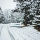 snow covered path winding through a pine forest  screen for extension Chrome web store in OffiDocs Chromium
