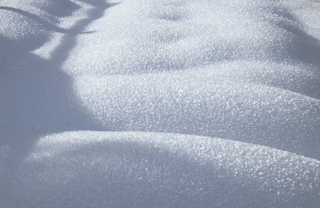 Free download snowdrift snow frost winter snowy free picture to be edited with GIMP free online image editor