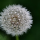 Snowflake ball  screen for extension Chrome web store in OffiDocs Chromium