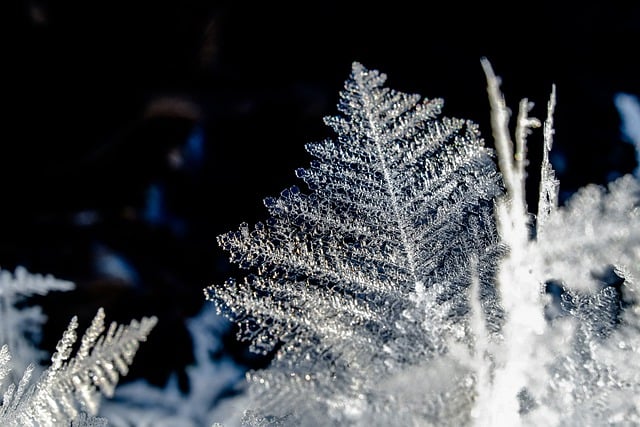 Free download snowflakes frost ice crystals free picture to be edited with GIMP free online image editor