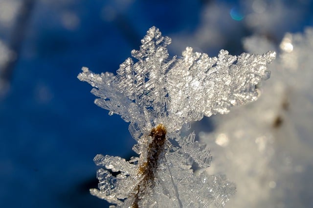 Free download snow frost crystals ice nature free picture to be edited with GIMP free online image editor