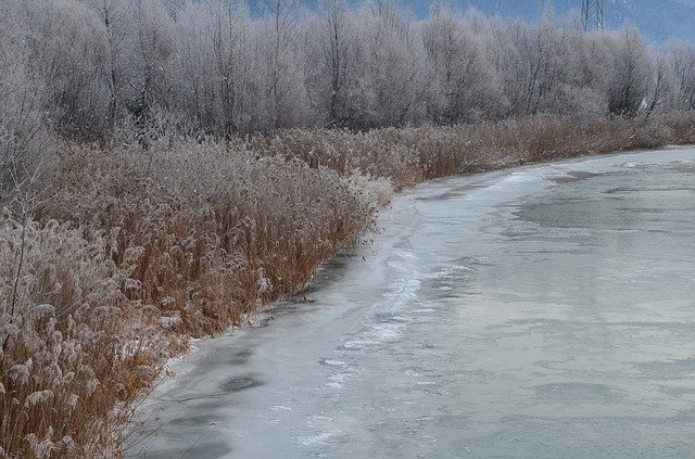 Free download Snow Frost Ice -  free photo or picture to be edited with GIMP online image editor
