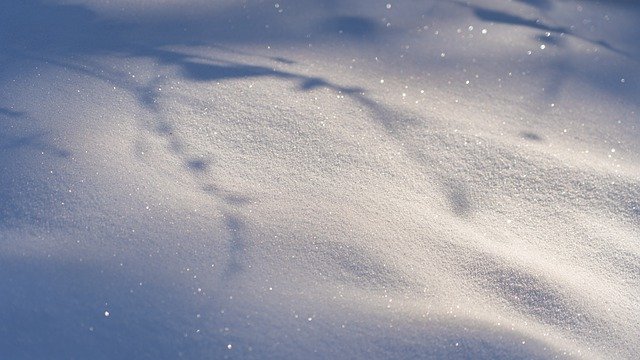 Descărcare gratuită zăpadă îngheț iarnă acoperită de zăpadă imagine gratuită pentru a fi editată cu editorul de imagini online gratuit GIMP