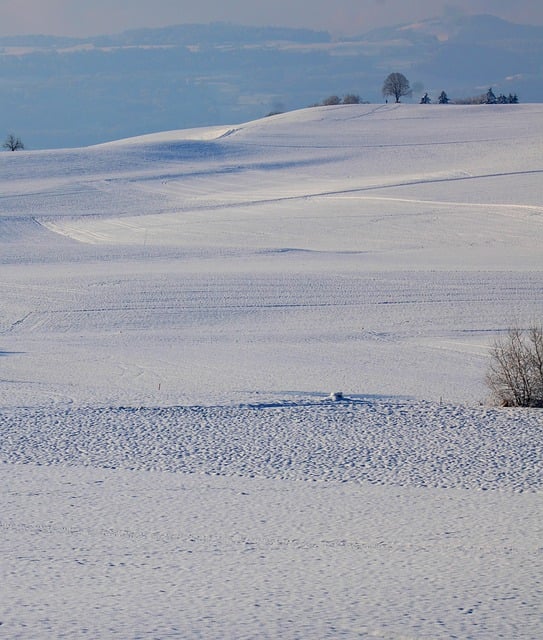 Scarica gratuitamente l'immagine gratuita del paesaggio invernale con neve gelata da modificare con l'editor di immagini online gratuito GIMP