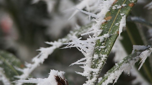 GIMP çevrimiçi resim düzenleyici ile düzenlenecek ücretsiz Snow Ice Frost ücretsiz fotoğraf şablonu indir