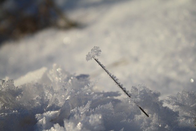 Téléchargement gratuit Snow Ice Winter - photo ou image gratuite à éditer avec l'éditeur d'images en ligne GIMP