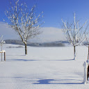 Snow in the sun  screen for extension Chrome web store in OffiDocs Chromium