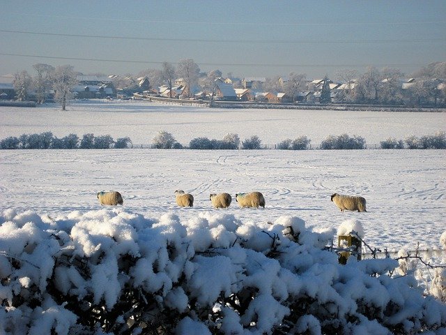 Скачать бесплатно Snow Landscape Field - бесплатное фото или изображение для редактирования с помощью онлайн-редактора изображений GIMP