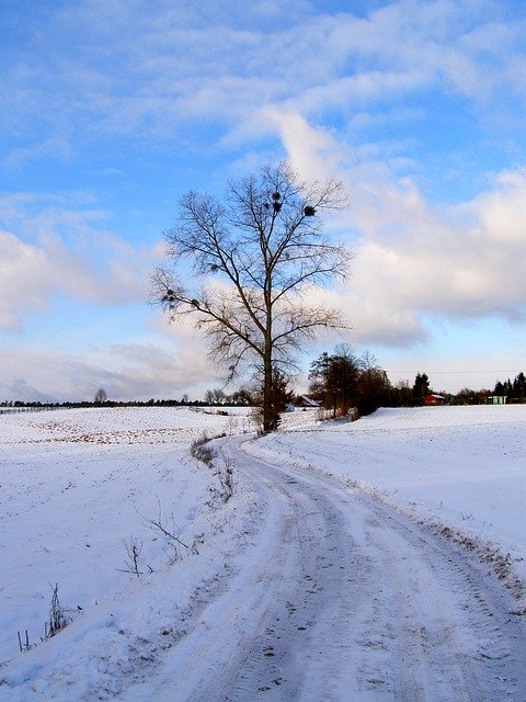 Muat turun percuma Snow Landscape Village - foto atau gambar percuma untuk diedit dengan editor imej dalam talian GIMP