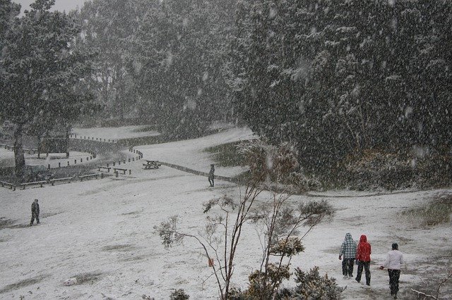 Muat turun percuma Snow Lower Hutt - foto atau gambar percuma untuk diedit dengan editor imej dalam talian GIMP