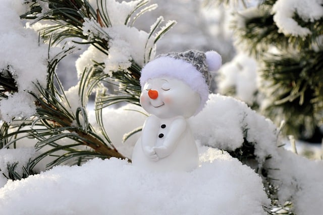 Free download snowman snow winter christmas free picture to be edited with GIMP free online image editor