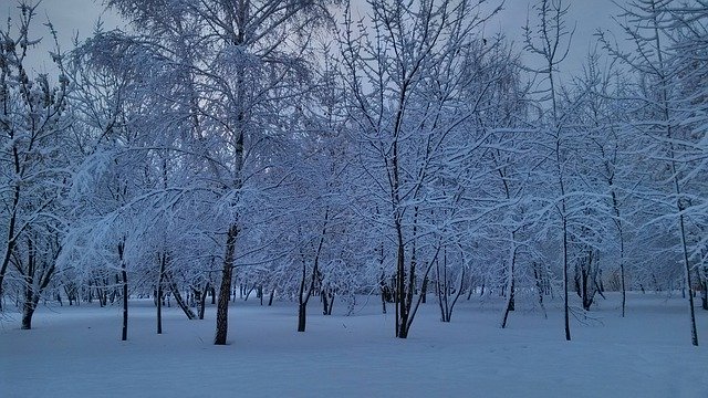 Free download Snow Moscow Winter -  free photo or picture to be edited with GIMP online image editor