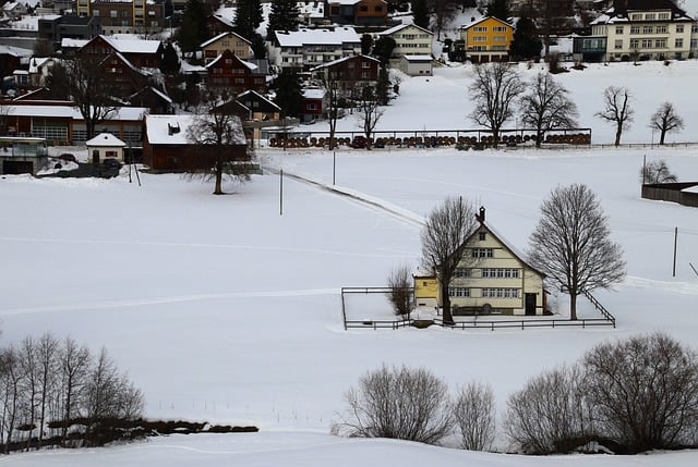 Bezpłatne pobieranie bezpłatnego zdjęcia osady śnieżnej góry do edycji za pomocą bezpłatnego edytora obrazów online GIMP