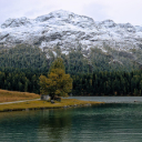 Snow Mountain Theme  screen for extension Chrome web store in OffiDocs Chromium