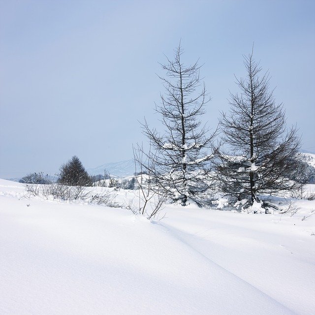 Ücretsiz indir Snow Narrative Whiteness Pure - GIMP çevrimiçi resim düzenleyici ile düzenlenecek ücretsiz fotoğraf veya resim