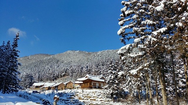 تنزيل Snow Nature Winter مجانًا - صورة مجانية أو صورة لتحريرها باستخدام محرر الصور عبر الإنترنت GIMP