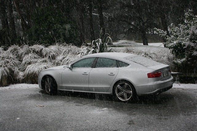 Free download snow new zealand nz percy reserve free picture to be edited with GIMP free online image editor