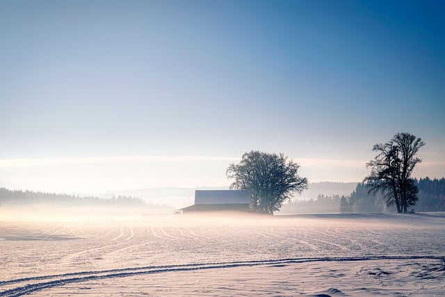 Free download snow path hut light winter fog free picture to be edited with GIMP free online image editor