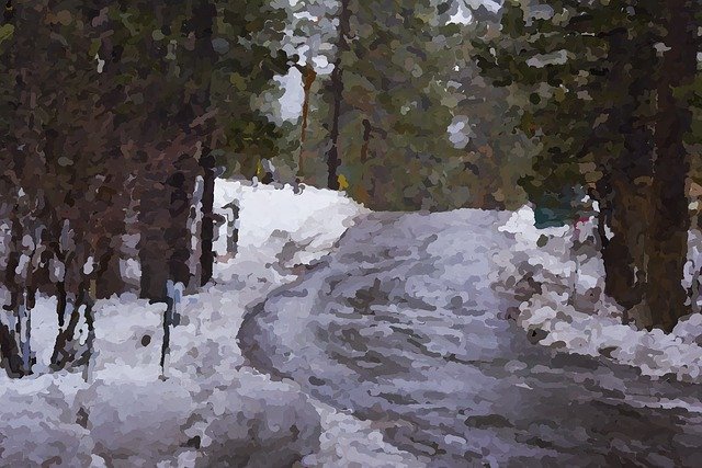Free download Snow Road Forest -  free illustration to be edited with GIMP free online image editor