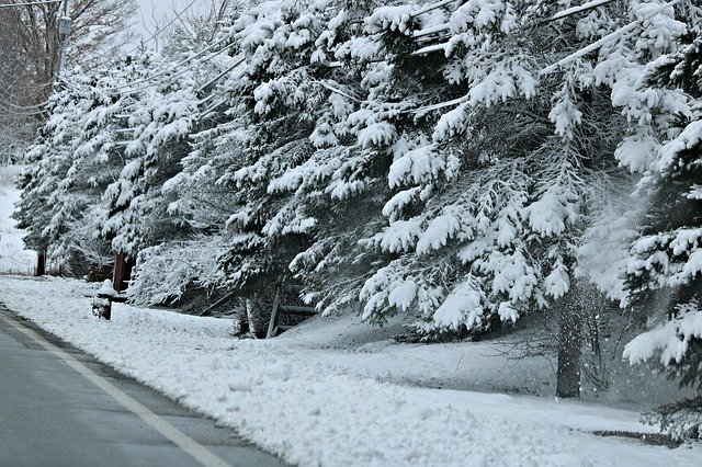 دانلود رایگان Snow Snowfall Winter - عکس یا تصویر رایگان قابل ویرایش با ویرایشگر تصویر آنلاین GIMP