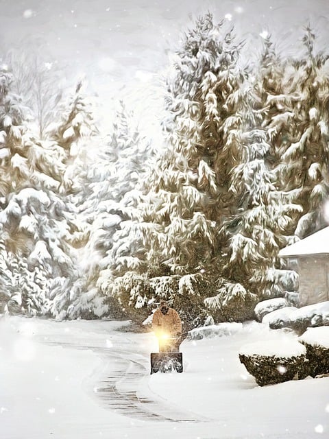 دانلود رایگان عکس طوفان برف طوفان برف زمستانی رایگان برای ویرایش با ویرایشگر تصویر آنلاین رایگان GIMP