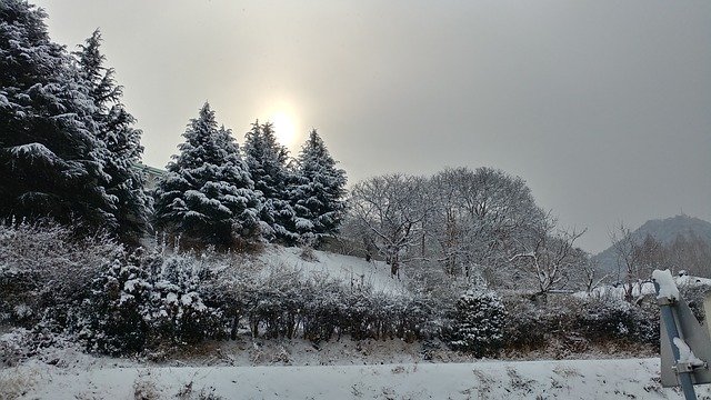 Free picture Snow Sunrise Landscape -  to be edited by GIMP free image editor by OffiDocs