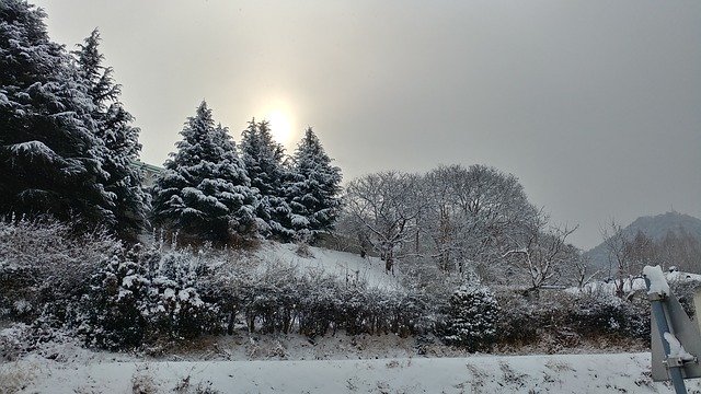 הורדה חינם Snow Sunrise Landscape - תמונה או תמונה בחינם לעריכה עם עורך התמונות המקוון GIMP