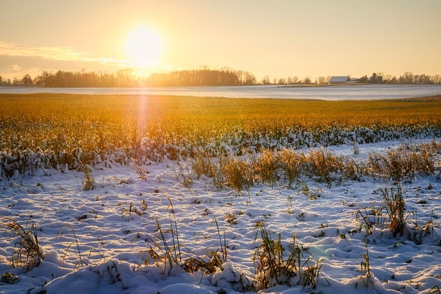 Free download snow sunset tree fields landscape free picture to be edited with GIMP free online image editor