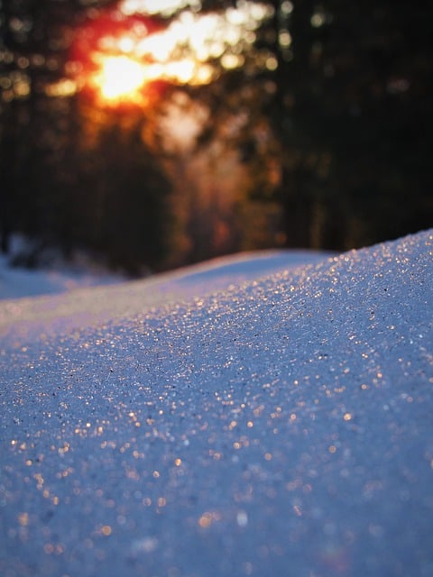 無料ダウンロード雪太陽日光木光GIMP無料オンライン画像エディターで編集できる無料画像