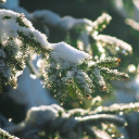 SNOW Theme  screen for extension Chrome web store in OffiDocs Chromium SNOW Theme  screen for extension Chrome web store in OffiDocs Chromium