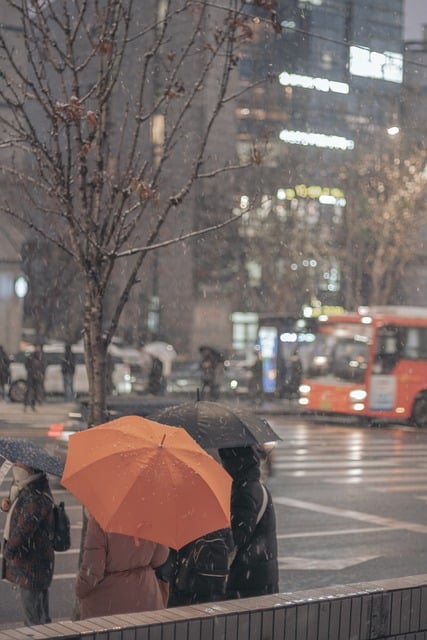 Free download snow umbrella passerby city tree free picture to be edited with GIMP free online image editor
