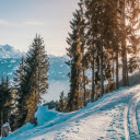 Snow white forest  screen for extension Chrome web store in OffiDocs Chromium