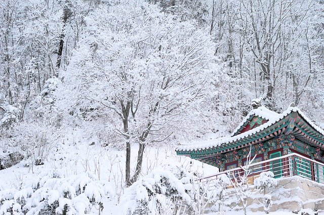 Free download Snow White Korea -  free photo or picture to be edited with GIMP online image editor