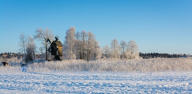 Free download snow windmill grass trees winter free picture to be edited with GIMP free online image editor
