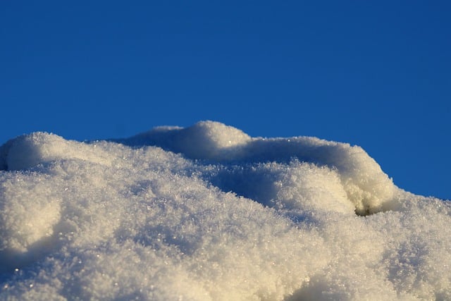 Free download snow winter cold frost nature free picture to be edited with GIMP free online image editor