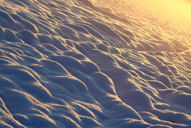 Free download snow winter cold nature icy free picture to be edited with GIMP free online image editor