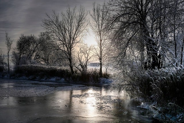 Bezpłatne pobieranie śniegu zima zimne słońce nastrój cichy, darmowy obraz do edycji za pomocą bezpłatnego edytora obrazów online GIMP