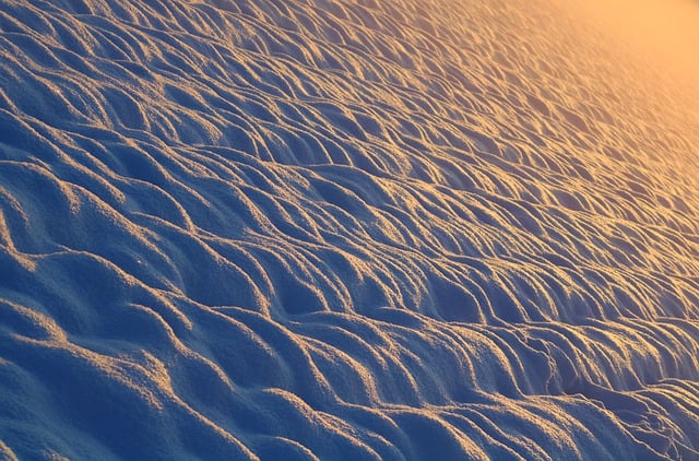 Téléchargement gratuit d'une image gratuite de neige hiver froid hiver nature à modifier avec l'éditeur d'images en ligne gratuit GIMP