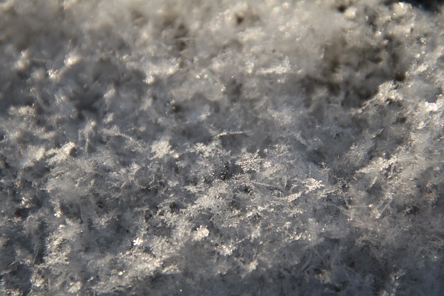 Muat turun percuma salji musim sejuk fros ais hablur ais gambar percuma untuk diedit dengan editor imej dalam talian percuma GIMP