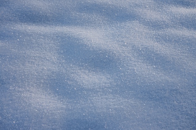 Free download snow winter frost nature free picture to be edited with GIMP free online image editor