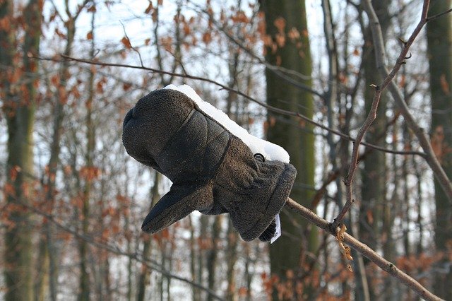 Kostenloser Download Snow Winter Glove - kostenloses Foto oder Bild zur Bearbeitung mit GIMP Online-Bildbearbeitung