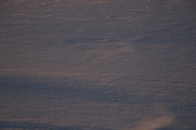 Muat turun percuma templat foto percuma Snow Winter Nature untuk diedit dengan editor imej dalam talian GIMP