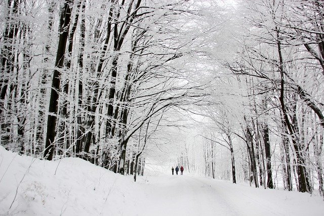 Free download snow winter path people trees free picture to be edited with GIMP free online image editor