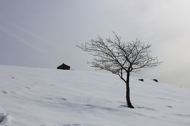 ດາວໂຫຼດຮູບ Snow Winter Scenery ຟຣີເພື່ອແກ້ໄຂດ້ວຍຕົວແກ້ໄຂຮູບພາບອອນໄລນ໌ GIMP