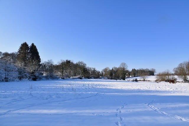 Muat turun percuma gambar percuma salji musim sejuk musim sejuk sejuk untuk diedit dengan editor imej dalam talian percuma GIMP
