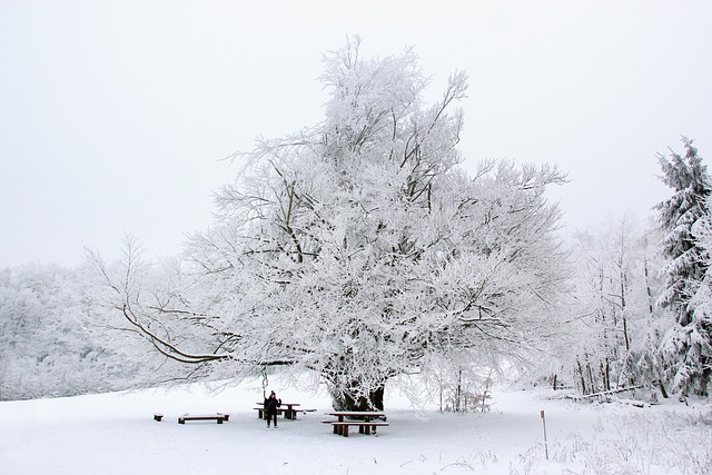 Free download snow winter swing tables benches free picture to be edited with GIMP free online image editor