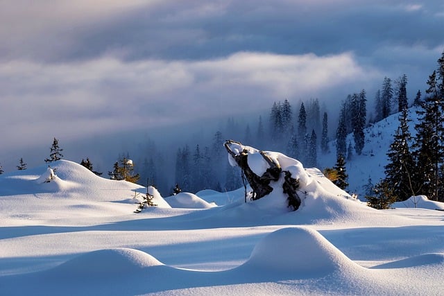 Muat turun percuma salji musim sejuk musim sejuk mimpi alam semula jadi gambar percuma untuk diedit dengan GIMP editor imej dalam talian percuma